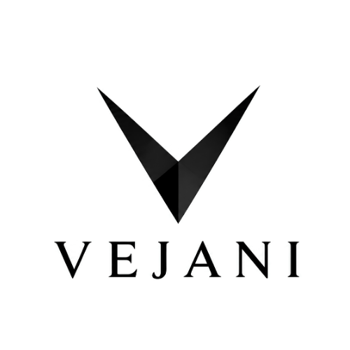 Vejani Logo